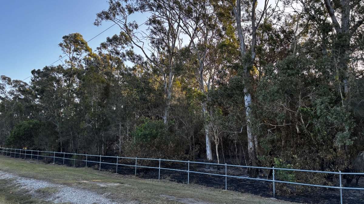 Police appeal after Kippa-Ring vegetation fire