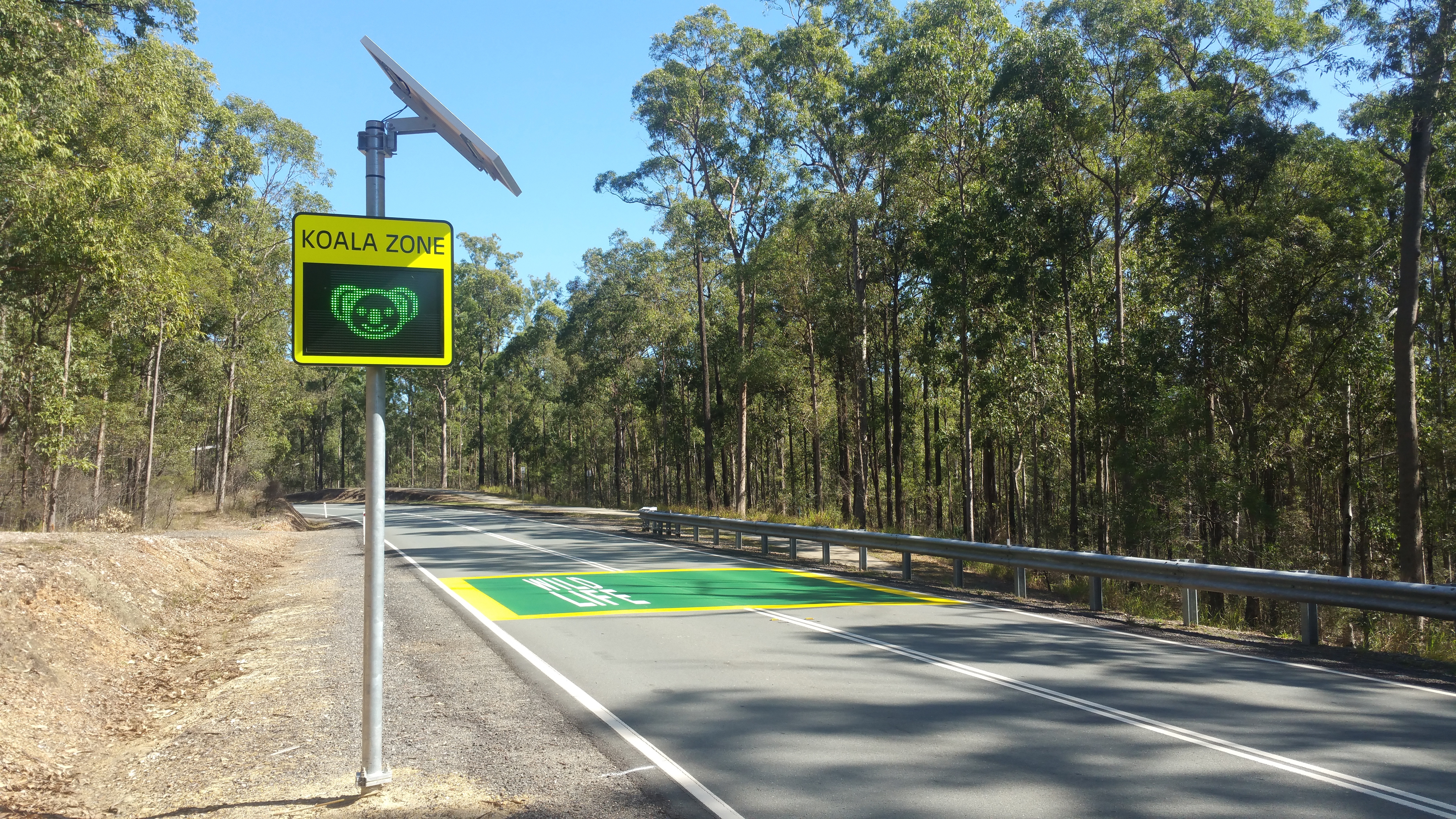 Road plans to help save wildlife