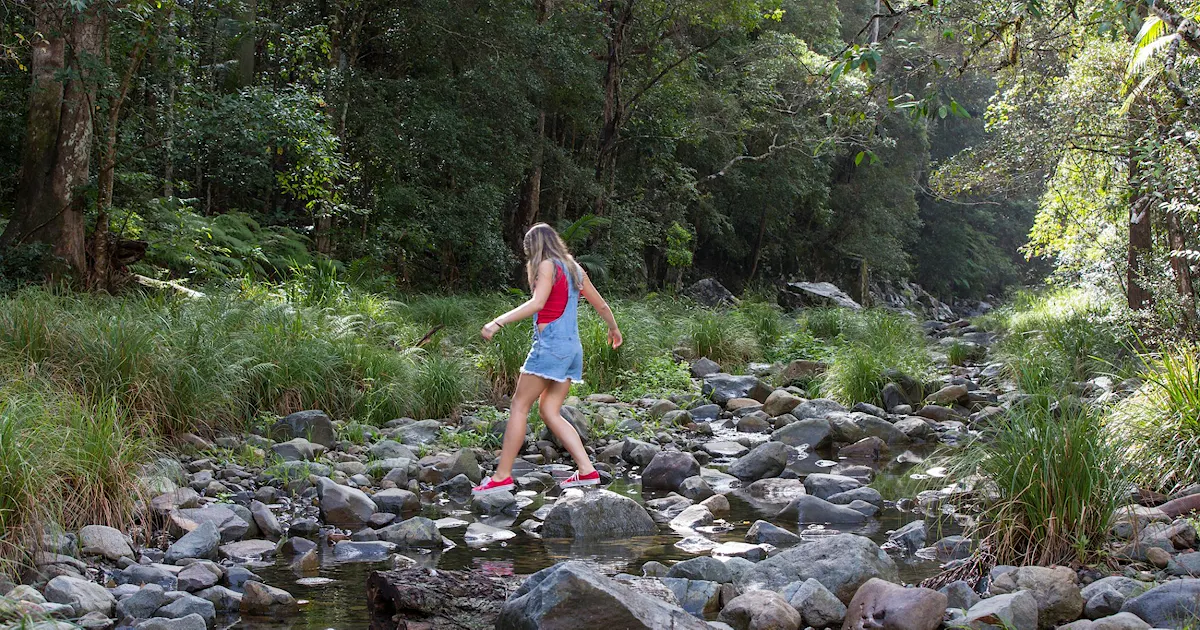 Top 6 Outdoor Activities & Nature Play Ideas